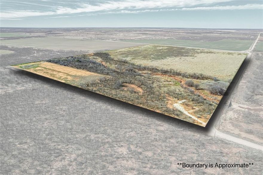 Beautiful piece of Texas with endless opportunities!!!  Just under 70 acres with over 40 culitivated acres that is level and could also make a great homestead.  A seasonal creek lined with native trees runs through the south part of the property and doubles as a great highway for local wildlife, including deer, turkey, quail, dove, and crane...along with the usual suspects of raccoons and squirrels.  There is a 4.5 acre paddock fully fenced as well on the southwest corner that would make a great spot for livestock, arena or barn.  Large cased water well is on property if needed as well.  This beauty has frontage on three sides which gives unlmited options.  Power is run to the north side of the property to an established RV pad.  Whether you are looking for a peaceful place to homestead, level land for agriculture or huting and recration opportunities...this is the place!!!