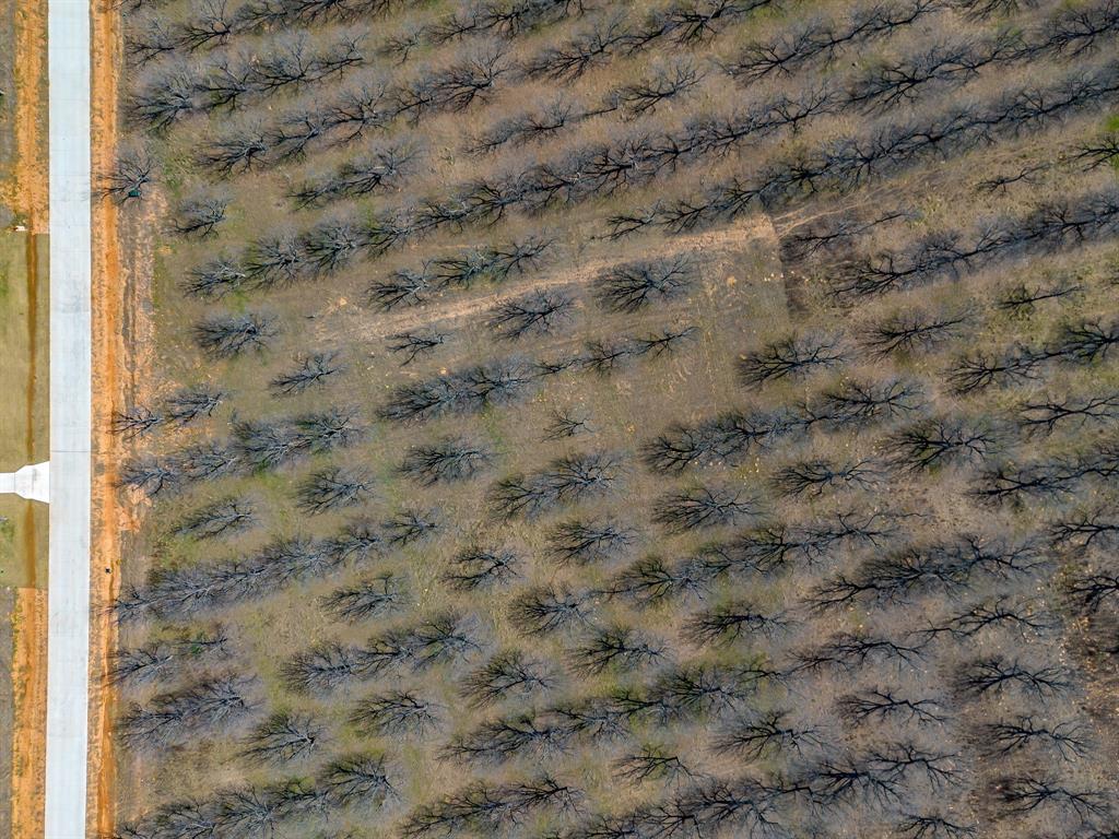 Pecan Plantation - Land