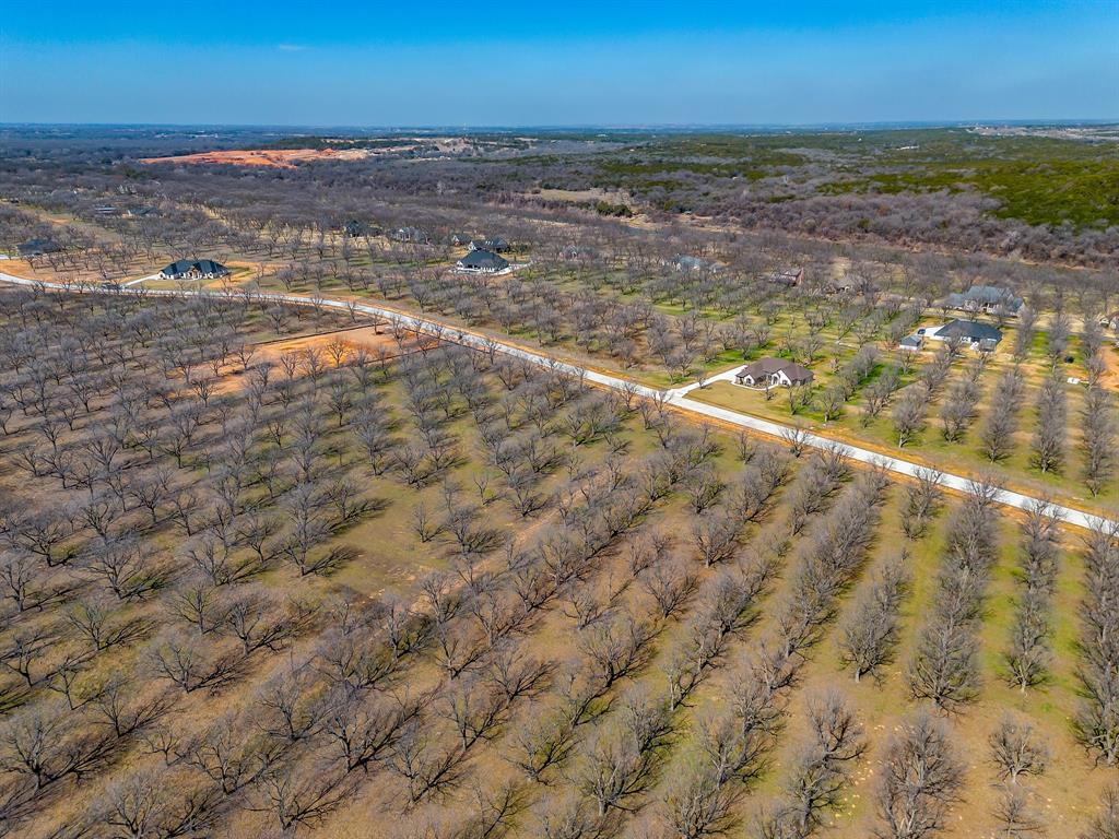Pecan Plantation - Land