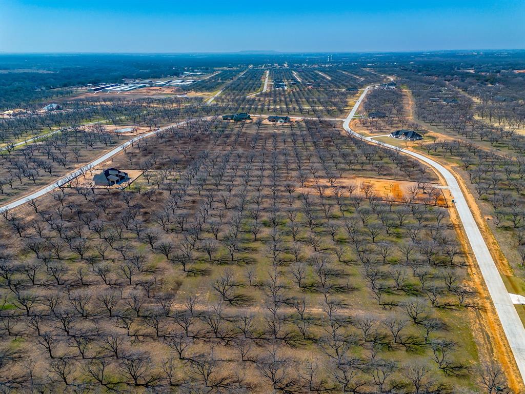 Pecan Plantation - Land