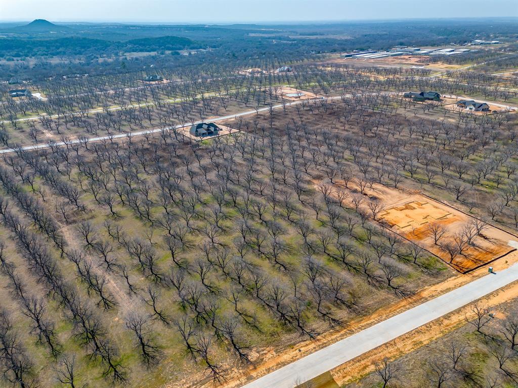 Pecan Plantation - Land
