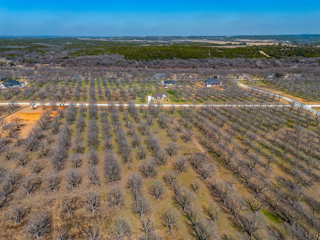 Pecan Plantation - Land