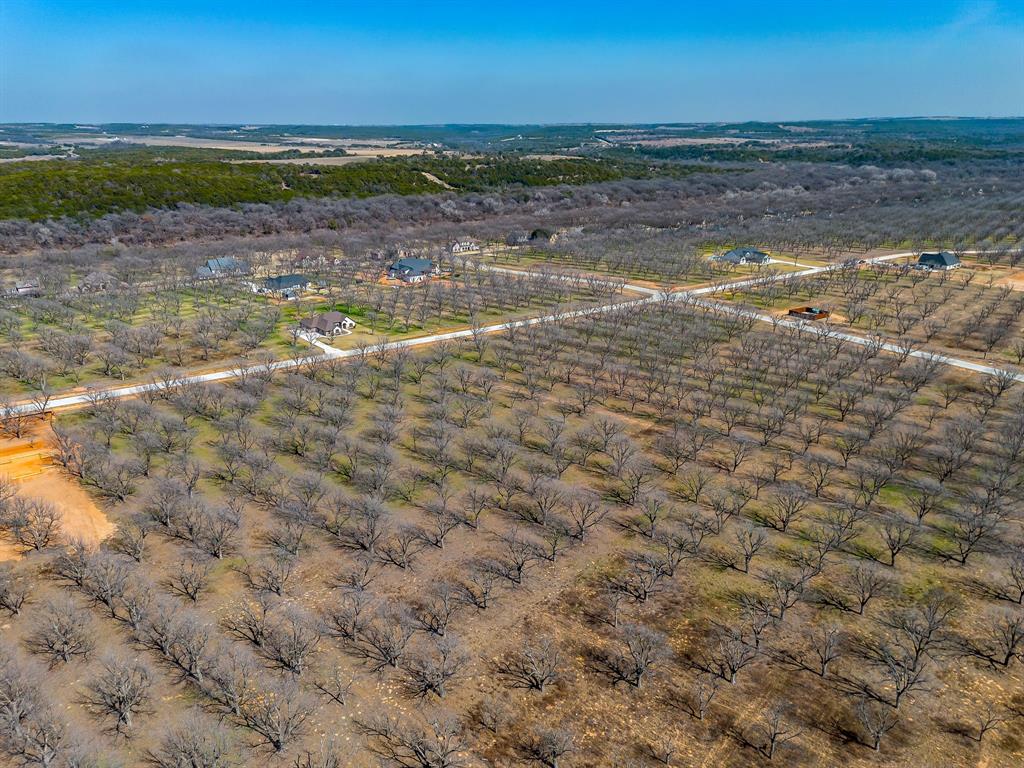 Pecan Plantation - Land