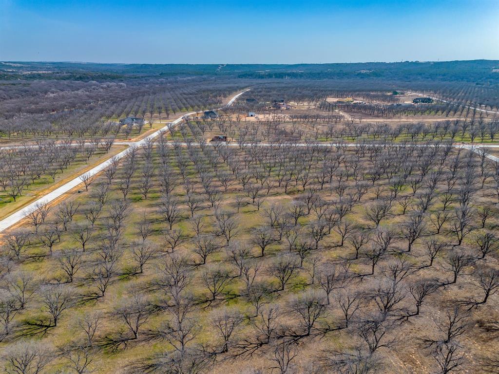 Pecan Plantation - Land