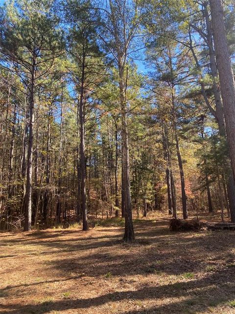 Photo of 44.2 Acres State Hwy 64, Ben Wheeler, TX 75754 (MLS # 21135831)