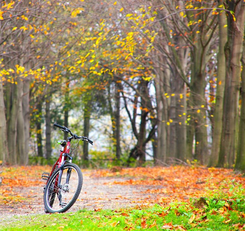 Providence Cove - Residential
