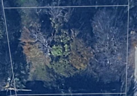 249 Wildwind Street Gun Barrel City TX 75156