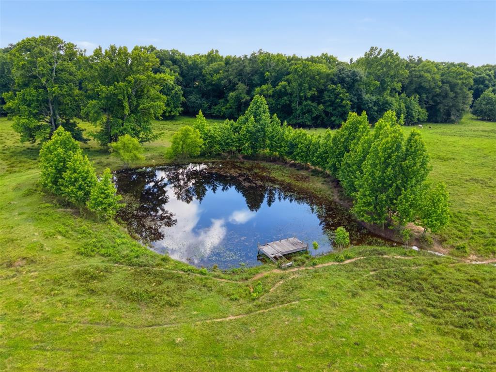 1663 County Road 1405
