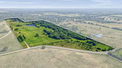 Photo of 1200 County Road 1215, Savoy, TX 75479 (MLS # 21225199)