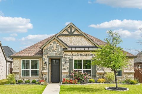 1340 Coneflower Drive Frisco TX 75033