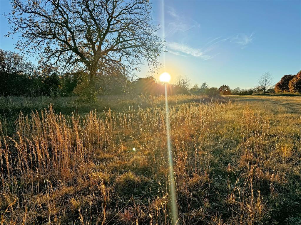 Red Bird Ridge - Land