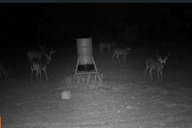 Dan Clark Surv Abs #185 - Land