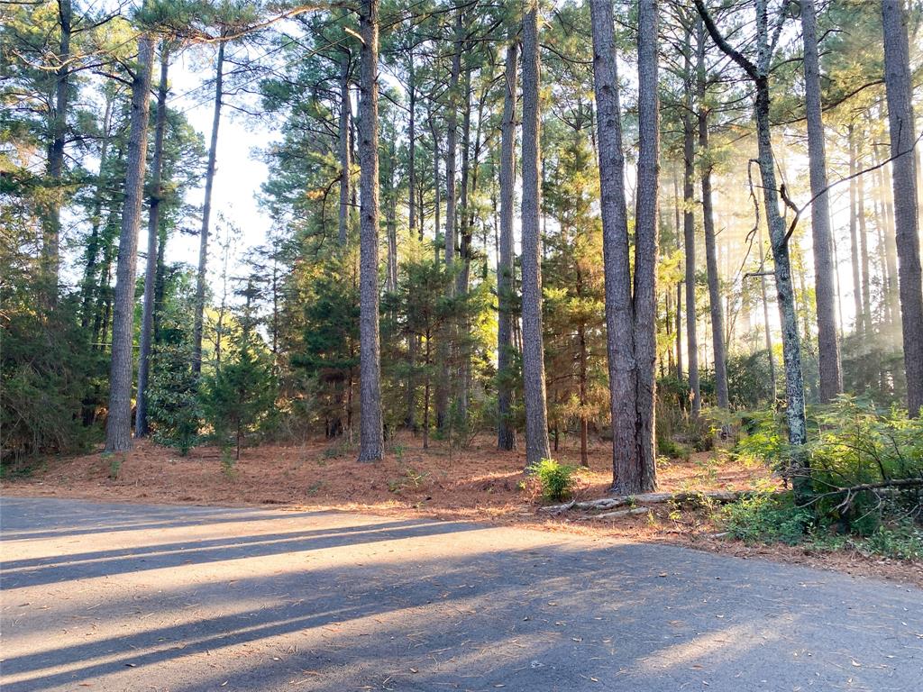 Colonial Heights - Residential