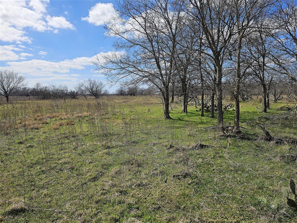5.05 Acres FM 339