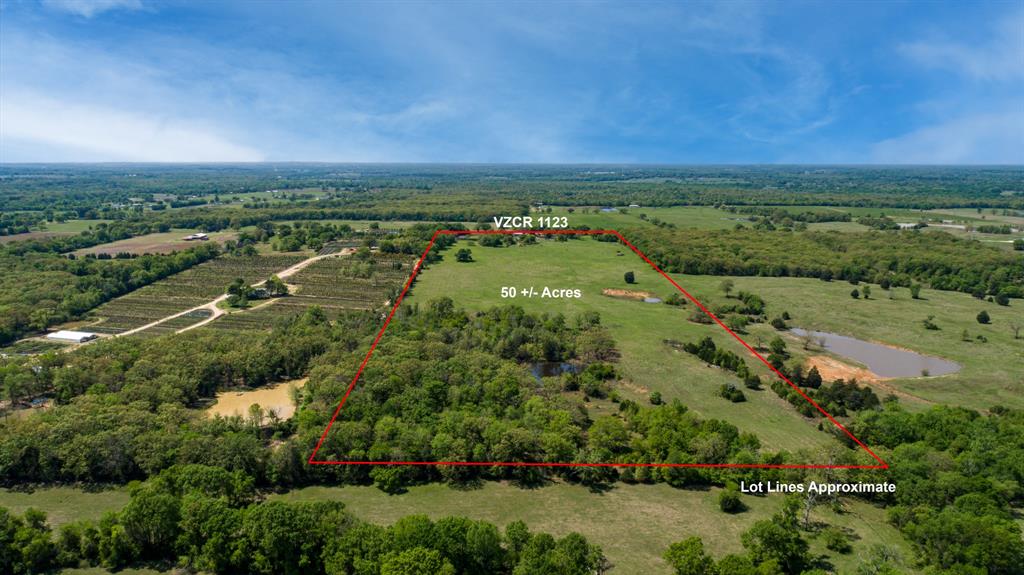 530 County Road 1123 - Photo 4