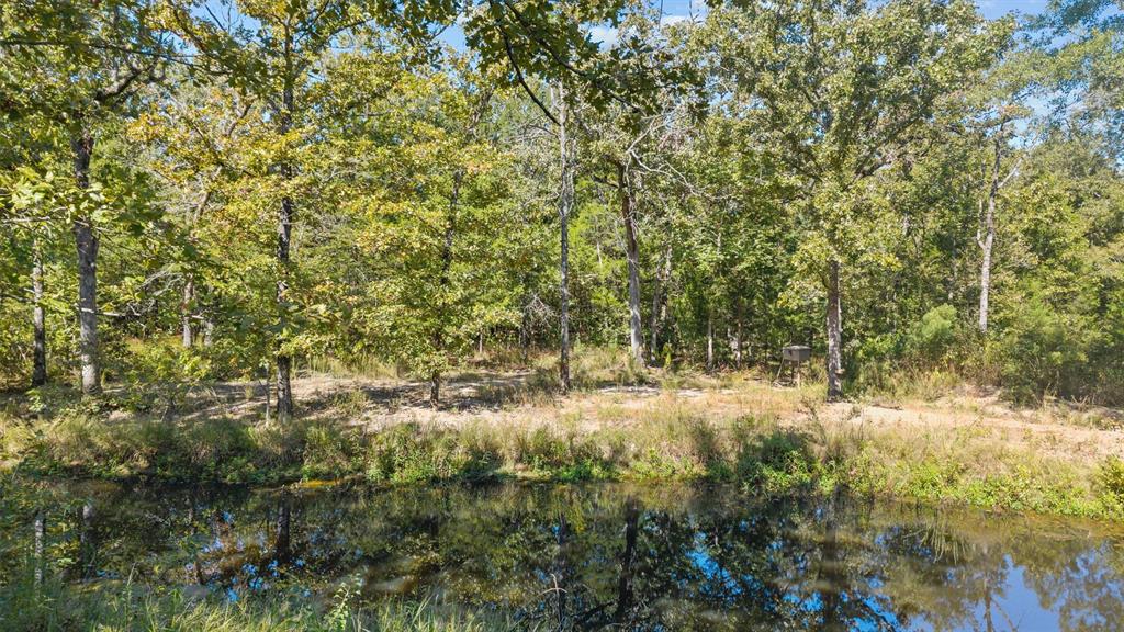 2022 Vz County Road 1514
