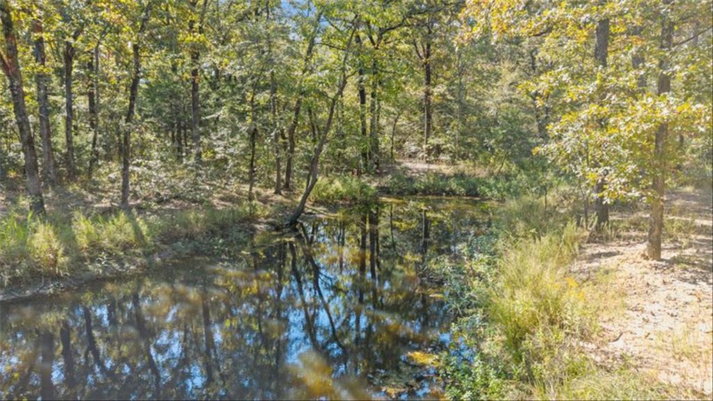 2022 Vz County Road 1514