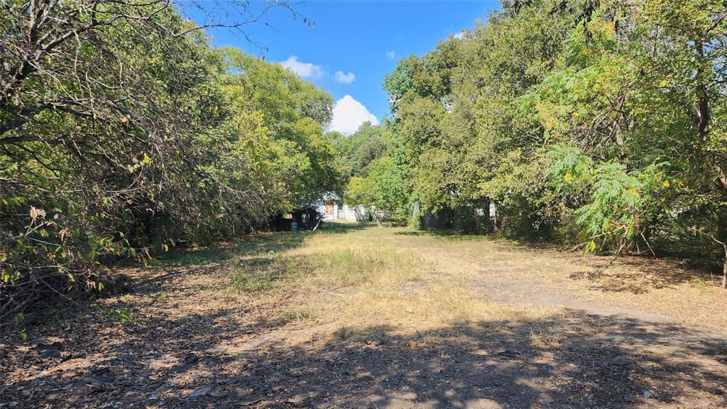 Alta Mesa Park - Residential