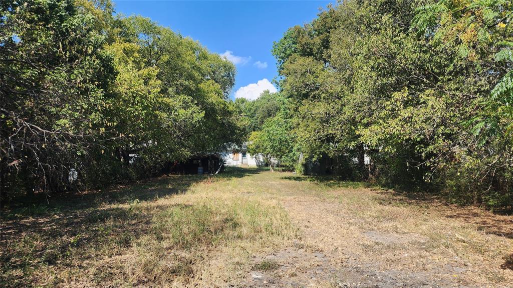 Alta Mesa Park - Residential