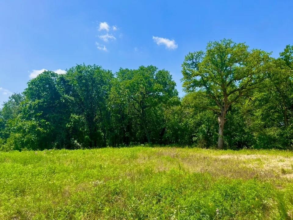 Lot 49 Wicklow Court