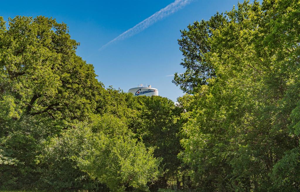 HENRY D BOHANNAN - Farm