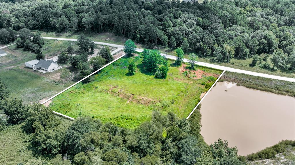 Veritatis Splendor - Land