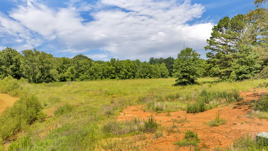 Veritatis Splendor - Land