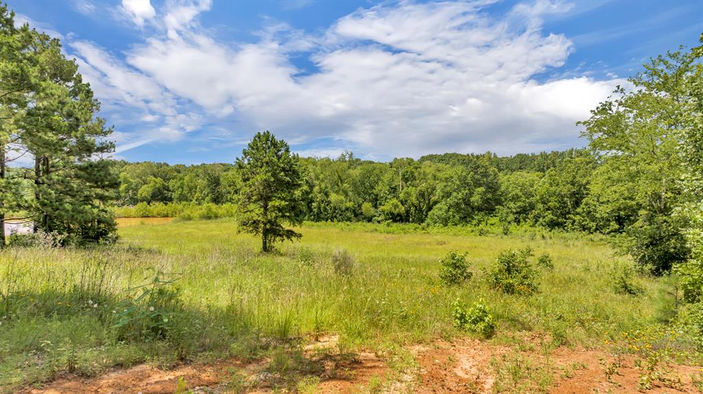 Veritatis Splendor - Land