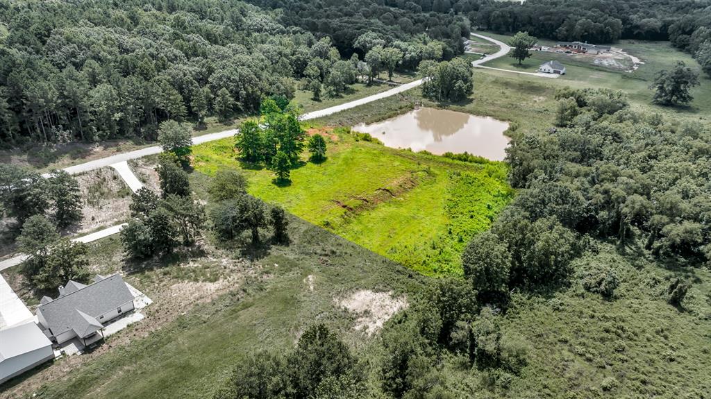 Veritatis Splendor - Land