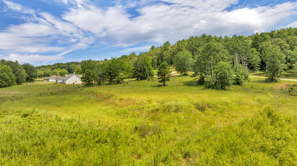 Veritatis Splendor - Land