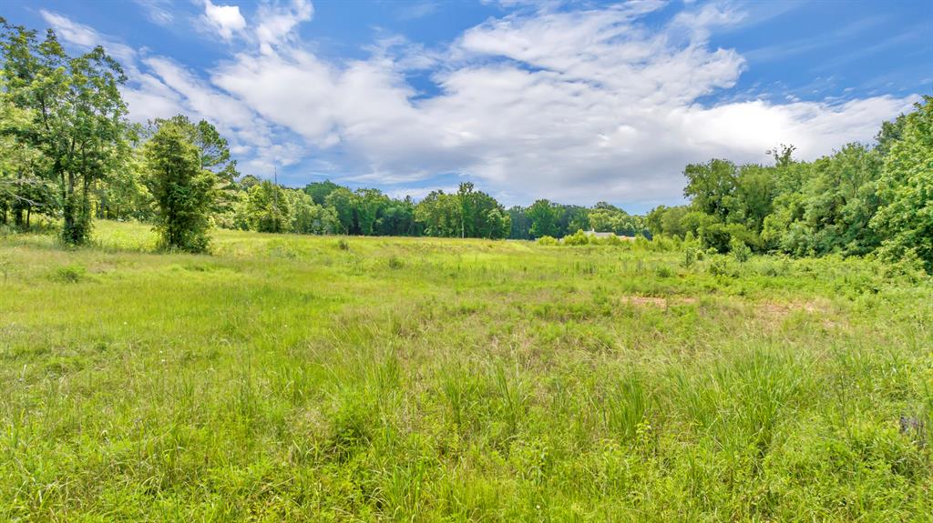 Veritatis Splendor - Land