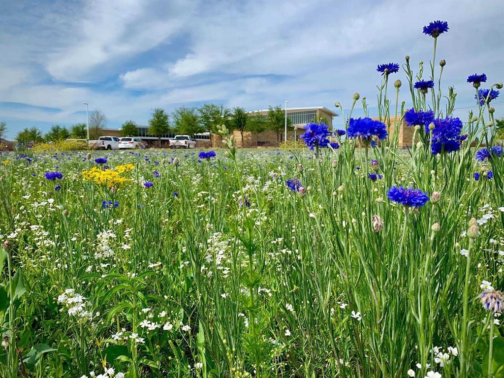 Monterra 50s - Residential