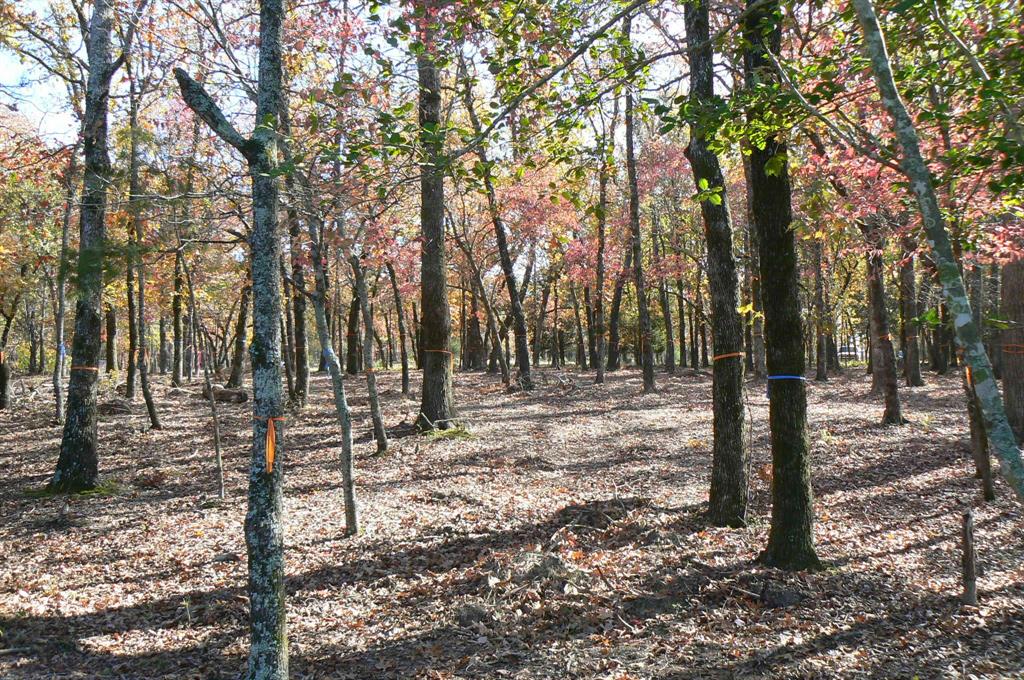 Safari Waters Ranch Ph 03c - Land