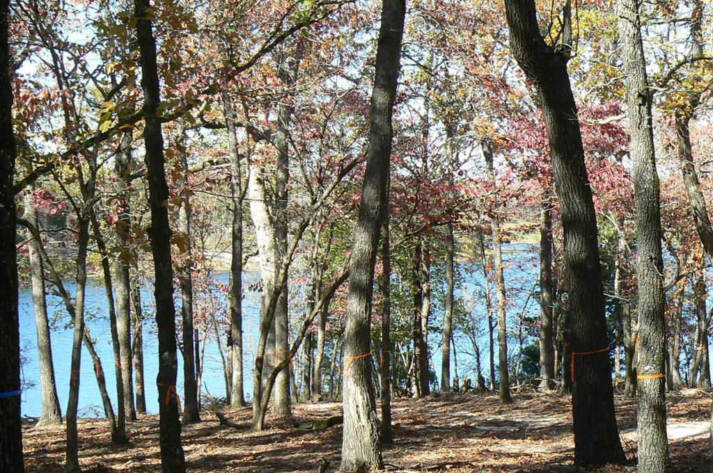 Safari Waters Ranch Ph 03c - Land