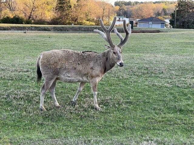 Safari Waters Ranch Ph 03c - Land