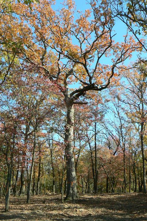 Safari Waters Ranch Ph 03c - Land