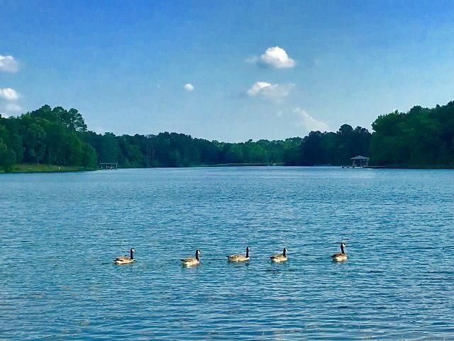 Safari Waters Ranch Ph 03c - Land