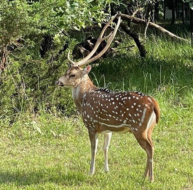 Safari Waters Ranch Ph 03c - Land