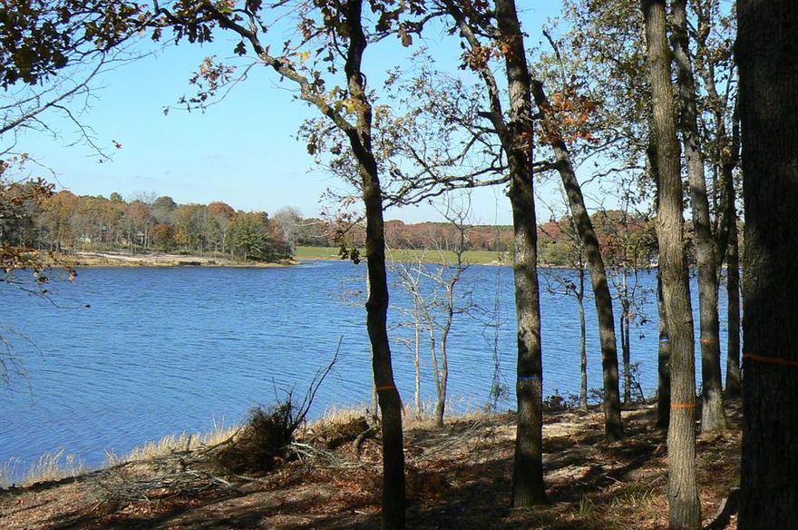 One acre plus wooded lake front lot located perfectly on the largest lake of Safari Waters Ranch, which is a secluded gated community offering 1775 acres of wooded land, three spring fed lakes totaling 130 acre stocked with fish  (bass, catfish, crappie, and bream) and exotic wildlife (Zebra, Fallow Deer, Axis Deer, White-tailed Deer, and Pere David's Deer) roaming freely.  Enjoy Camp Safari RV park with 28 full hook ups, pavilion and restrooms for property owners and their guests. Common areas with fishing docks, boat ramps, lakeside picnic and grill areas. Residents can enjoy a peaceful country lifestyle, all within a 90-minute drive from Dallas. Property taxes are very low due to wildlife exemption while offering a peaceful getaway. Perfect getaway to call home or enjoy at your leisure.