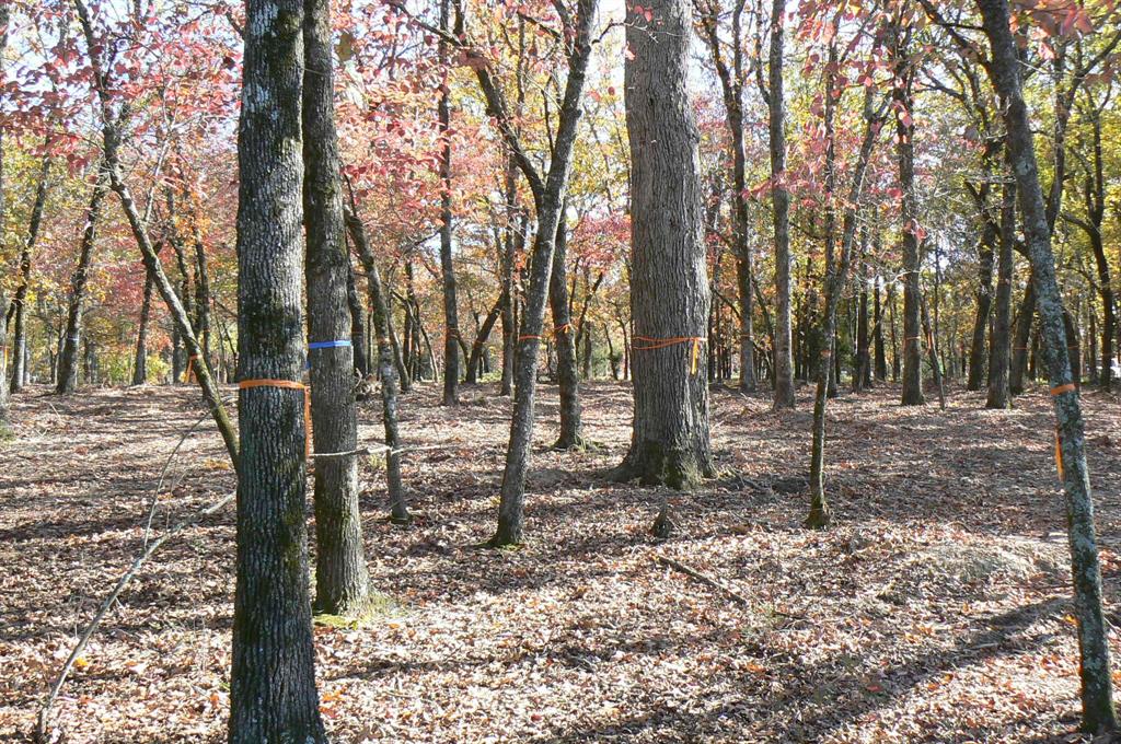 Safari Waters Ranch Ph 03c - Land