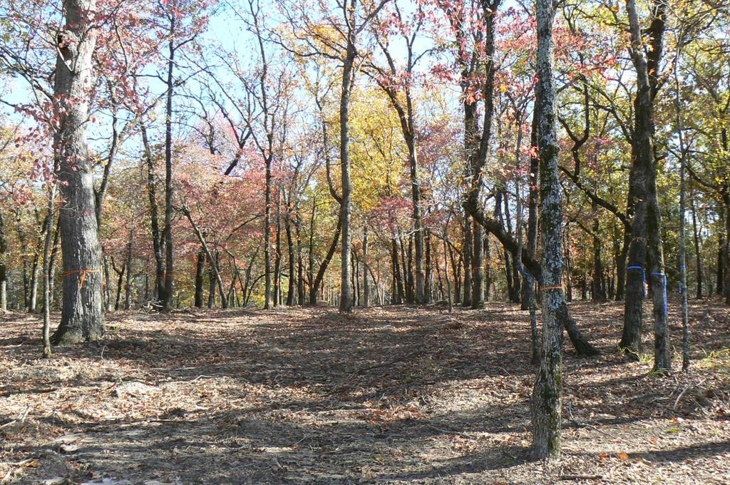 Safari Waters Ranch Ph 03c - Land