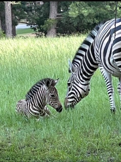 Safari Waters Ranch Ph 03c - Land