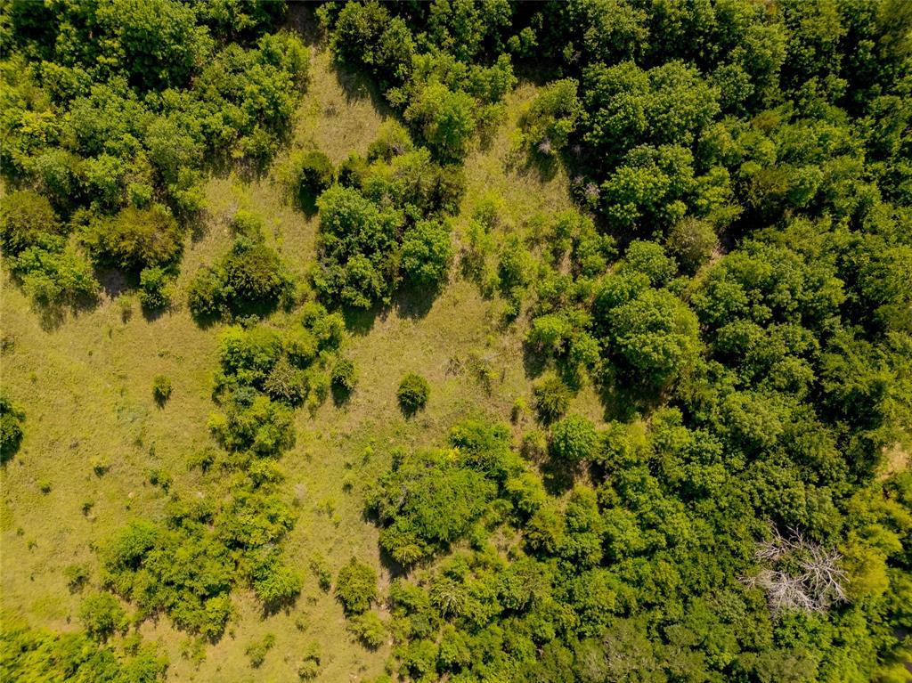 ABS A0937 D VAN WINKLE SURVEY - Land