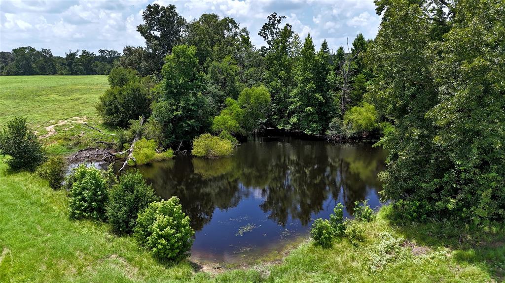 M B Mckeever Surv A-479 - Land