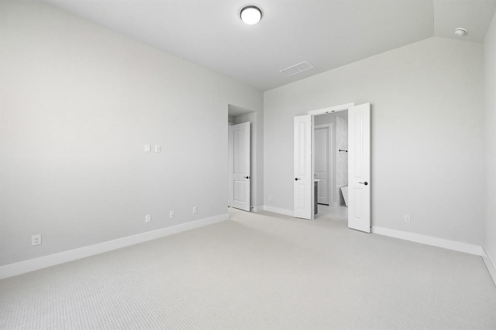 Trinity Falls: Artisan Series - 50' lots - Residential