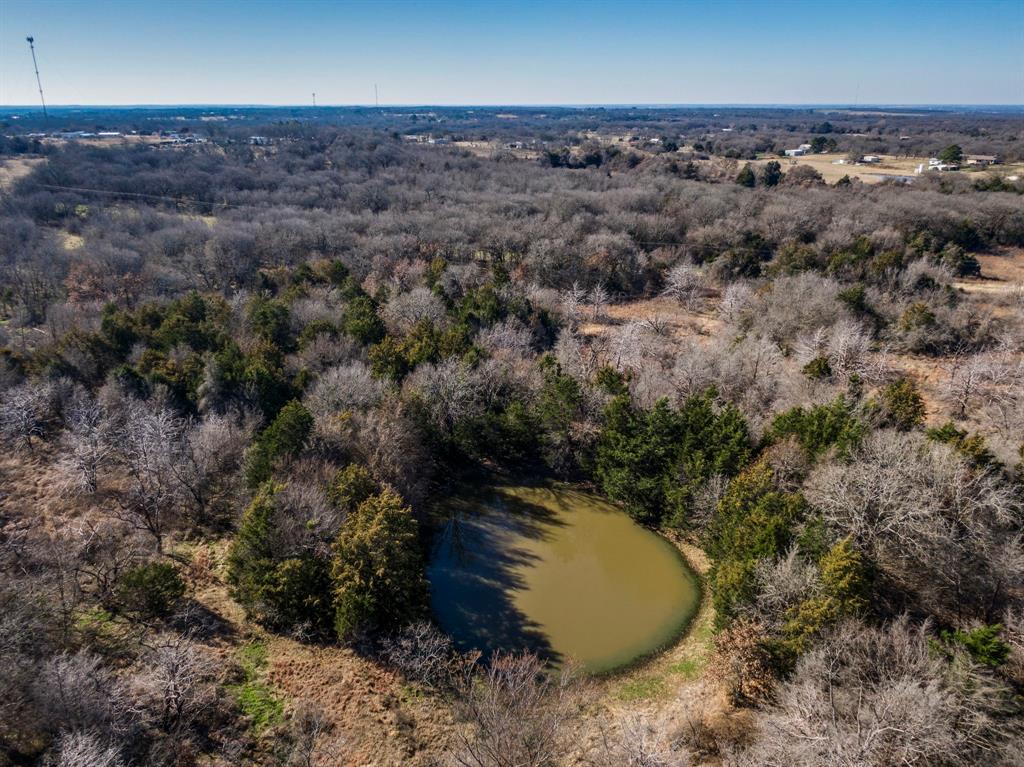 Thomas D Clark Surv Abs #172 - Land