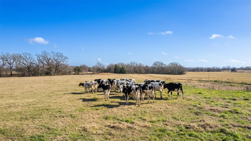 Rural 212 Acres - Farm