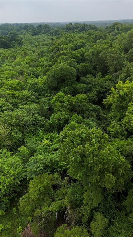 Johnson Lindley - Land