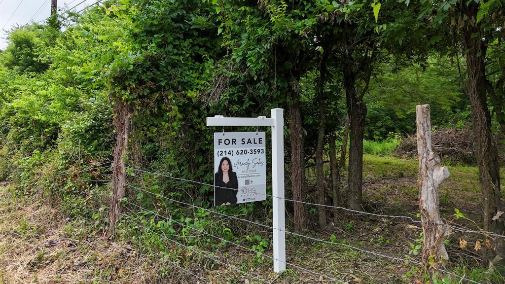 Johnson Lindley - Land