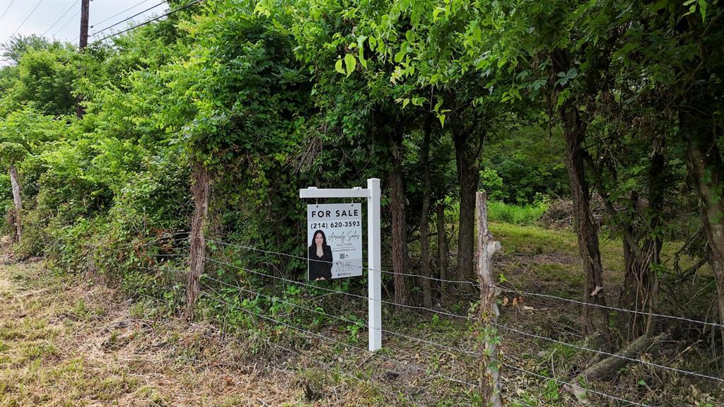 Johnson Lindley - Land